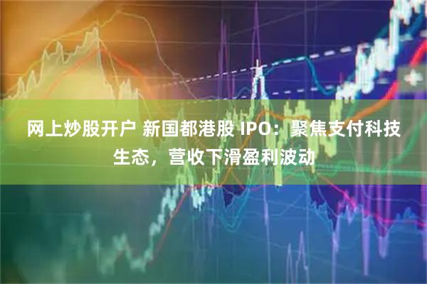 网上炒股开户 新国都港股 IPO：聚焦支付科技生态，营收下滑盈利波动